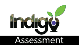 Indigo Assessment Image