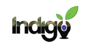 Indigo Project Camo Logo